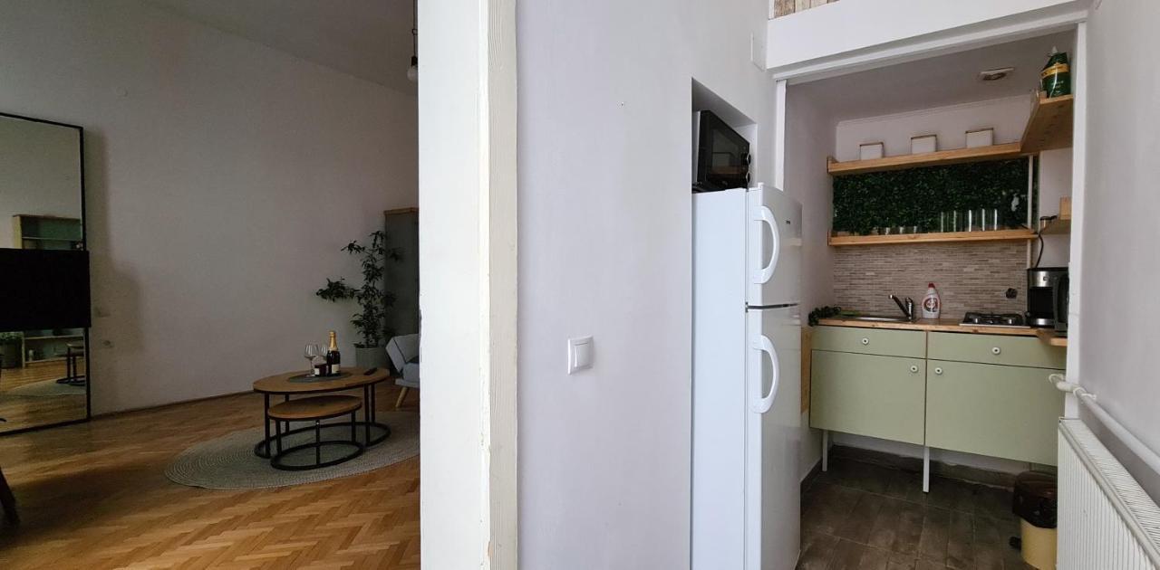 Appartement Zeiss House à Braşov Extérieur photo
